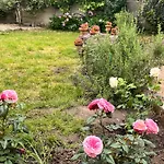 Abbaye - Maison Entiere - Jardin - Jacuzzi * Фонтевро-Л'Абе