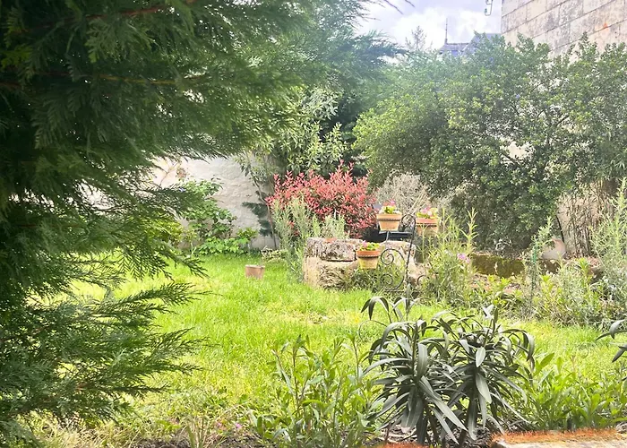 Abbaye - Maison Entiere - Jardin - Jacuzzi Vakantiehuis Fontevraud L'Abbaye