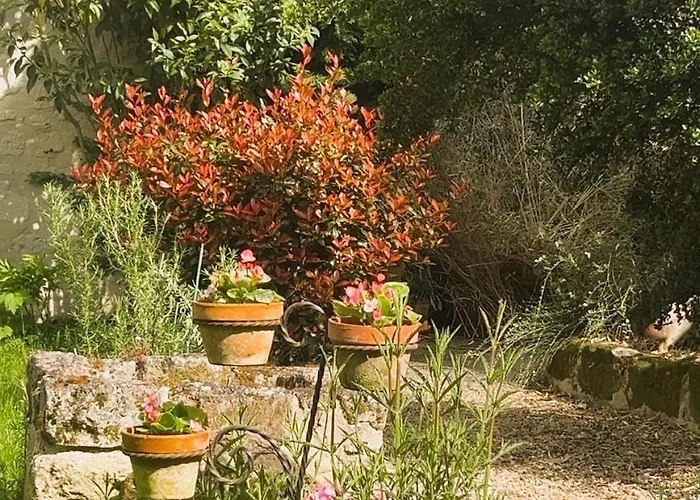 Vakantiehuis Abbaye - Maison Entiere - Jardin - Jacuzzi Fontevraud L'Abbaye
